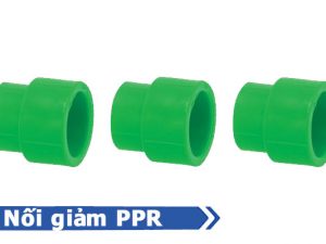 Sản phẩm nối giảm PPR - Phụ kiện PPR nhựa Đạt Hòa