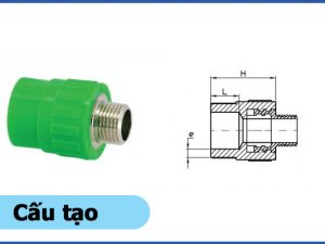 Cấu tạo sản phẩm nối ren ngoài PPR - Ống nhựa Đạt Hòa