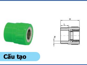 Cấu tạo sản phẩm nối ren trong PPR - Ống nhựa Đạt Hòa