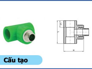 Cấu tạo sản phẩm tê ren ngoài PPR - Ống nhựa Đạt Hòa