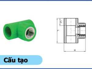 Cấu tạo sản phẩm tê ren trong PPR - Ống nhựa Đạt Hòa