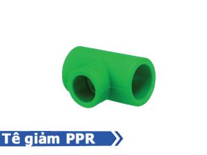 Sản phẩm tê giảm PPR - Phụ kiện PPR nhựa Đạt Hòa