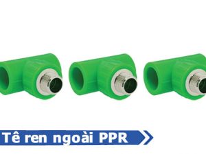 Sản phẩm tê ren ngoài PPR - Phụ kiện PPR nhựa Đạt Hòa